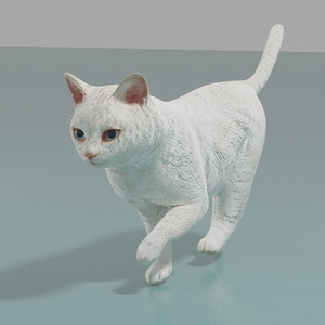 猫（白）　イメージテクスチャー 缩略图 4
