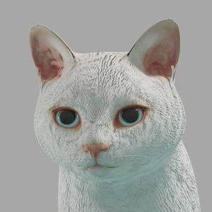 猫（白）　イメージテクスチャー 缩略图 3