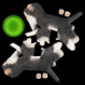 猫（キジ白）　イメージテクスチャー 缩略图 6