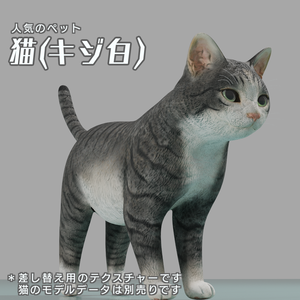 猫（キジ白）　イメージテクスチャー