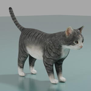 猫（キジ白）　イメージテクスチャー 缩略图 2