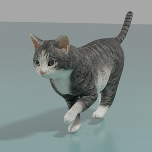 猫（キジ白）　イメージテクスチャー 缩略图 4