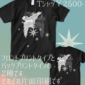 THE STAR　白鷺と黒鷺2