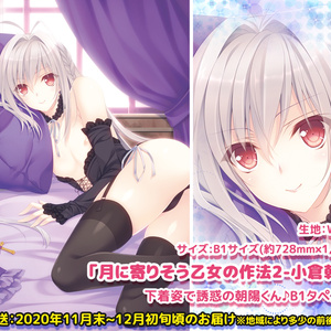 ※残1個※【月に寄りそう乙女の作法2-小倉朝陽-】下着姿で誘惑の朝陽くん♪B1タペストリー