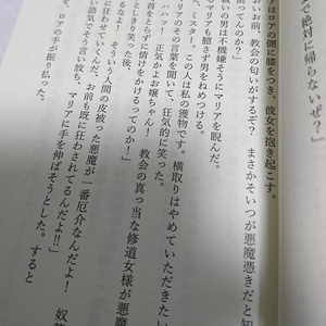 女領主とその女中【小説本】カバーあり