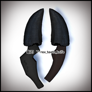 竜刃　T-rex_teeth_knife (ティラノサウルスの歯で作ったナイフ)