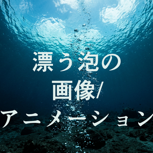 漂う泡｡o〇のPNG/APNG/WEBP画像