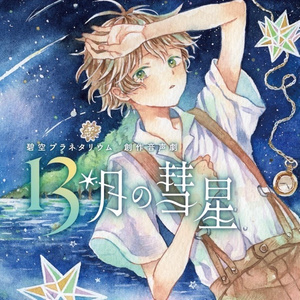 13月の彗星