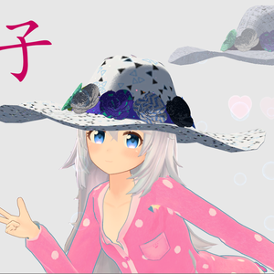 3Dmodel帽子
