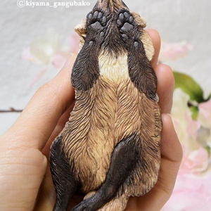 小春狸
