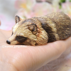 小春狸