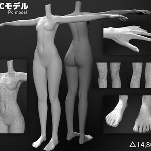 SiroinoSotai - VRC-Ready Free Base Body