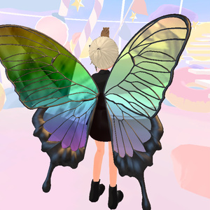 Papilio ulysses 缩略图 4
