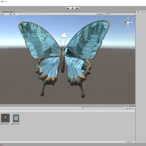 Papilio ulysses 缩略图 6