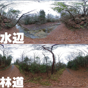 パノラマ写真集　夏の森・冬の森 缩略图 2