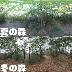 パノラマ写真集　夏の森・冬の森