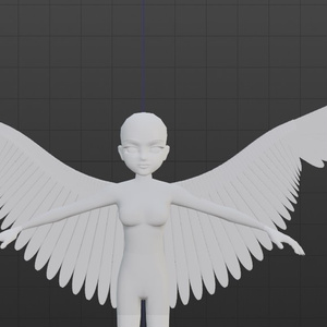 Angel Wings