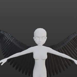 Tengu Wings