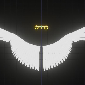 Glowing Angel Accessories