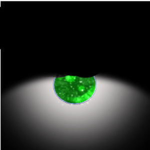 Clover Eye Texture