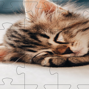 Kitten Puzzle