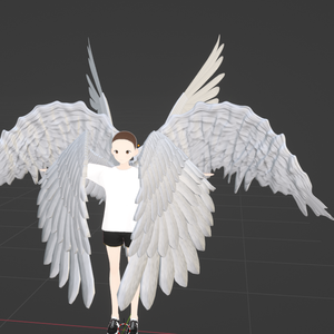 Seraphim Wings