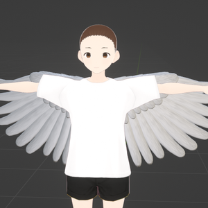 Angel Fae Wings