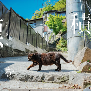 【期間限定配布】標を積む