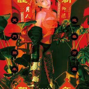 She is Nuts!!!トレカ（バラ）