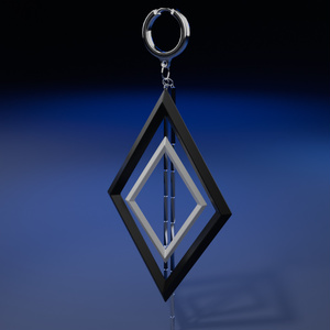 白黒 ダイヤ イヤリング Black & White Earring