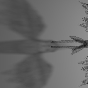 LaceBird【３Dモデル】 缩略图 7