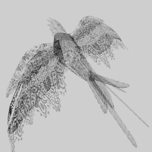 LaceBird【３Dモデル】 缩略图 2