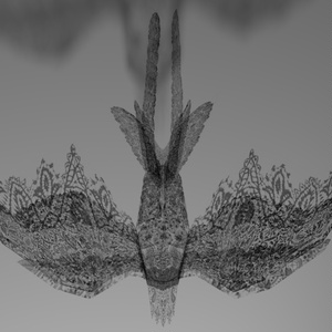 LaceBird【３Dモデル】 缩略图 6