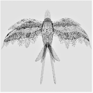 LaceBird【３Dモデル】