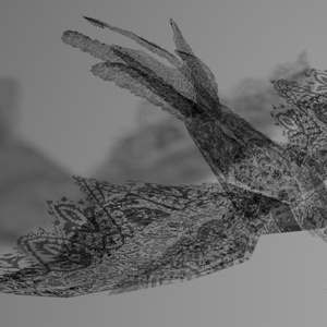 LaceBird【３Dモデル】 缩略图 3