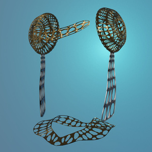 光輪Headdress 缩略图 8