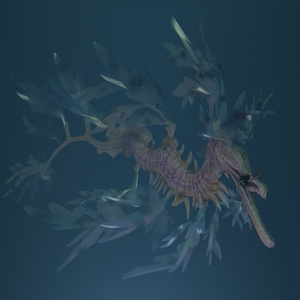 海底の馬車【undersea carriage】 缩略图 22
