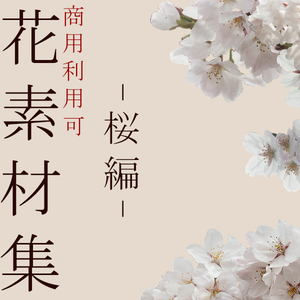 花素材集4　-桜編-