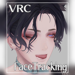 伊依 FaceTracking Addon