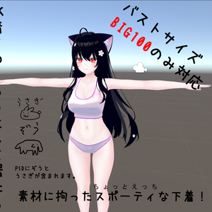 萌ちゃん用スポーティな下着のような水着のような