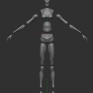 女性 素体 分割 3Dデータ ZbrushCore用 ZPRファイル