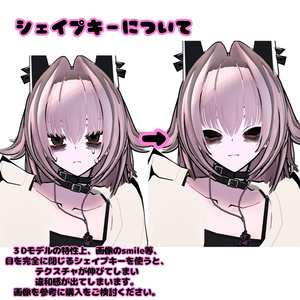 【期間限定sale】社畜メイク/SIUSIU専用 缩略图 3