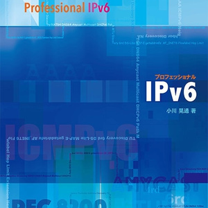 プロフェッショナルIPv6（価格BOOST↑用）初版