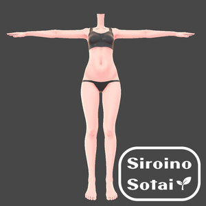 SiroinoSotai対応肌テクスチャ