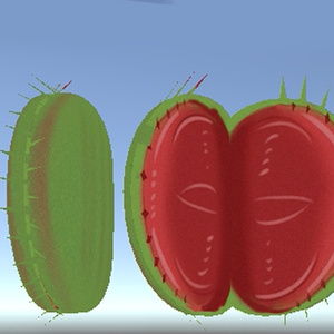 食虫植物（ウツボカズラ＆ハエトリグサ） 缩略图 3