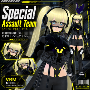 Special Assault Team