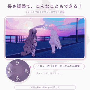 無料 RibbonBunnyEX（RibbonBunny専用Gimmick） 缩略图 4