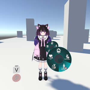 (SDK FIX) AnonあのんのFX/表情/服の設定/外観の変化/DPSインストール設定/足コントローラー同梱メニュー   (ver 1.2更新)