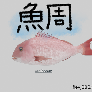 【3Dモデル】鯛
