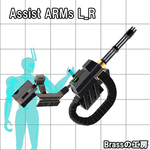 Assist ARMs L_R 1.01